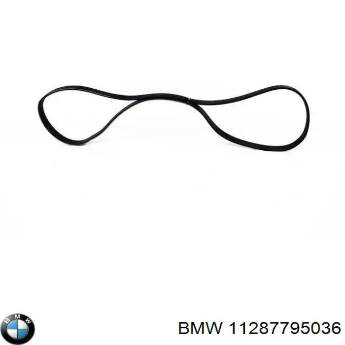 Купити 11287795036 BMW Ремінь генератора