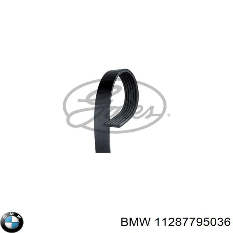 Клиновий ремінь BMW 11287795036 ціна, від 8.33 USD