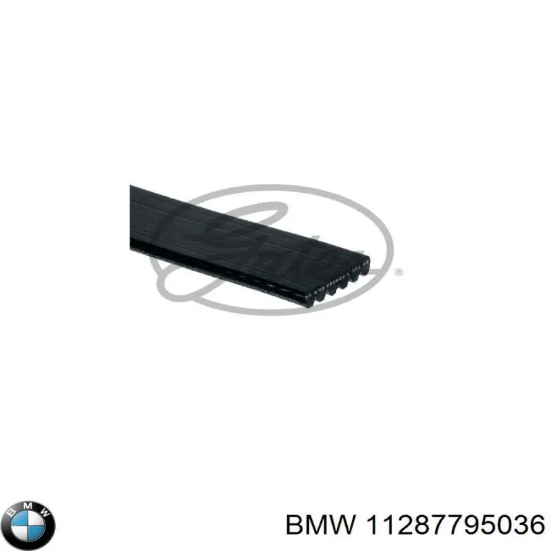 11287795036 BMW ремінь приводний, агрегатів