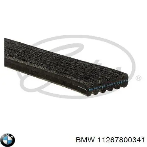 Купити 11287800341 BMW Ремінь генератора