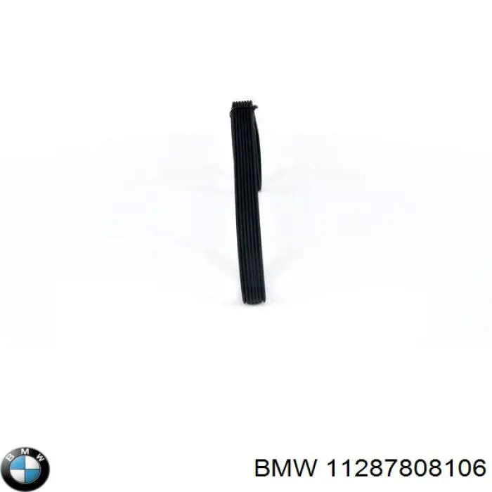 Клиновий ремінь BMW 11287808106 ціна, від 43.21 USD