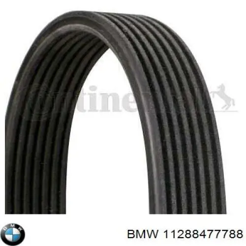 11288477788 BMW Поліклиновий ремінь