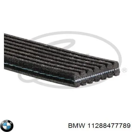 11288477789 BMW Поліклиновий ремінь