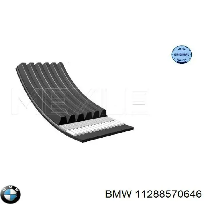 Купити 11288570646 BMW Ремінь генератора