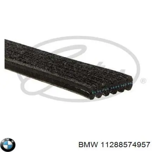 Купити 11288574957 BMW Ремінь генератора