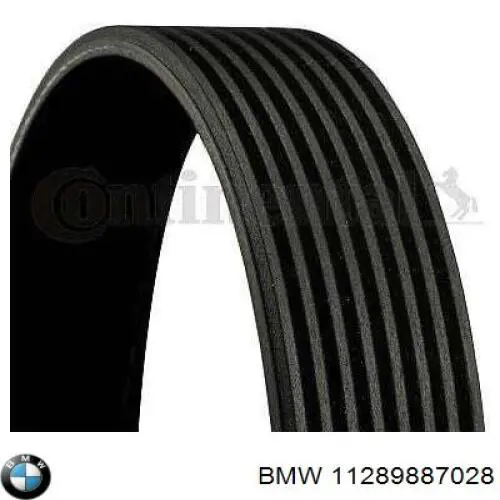 11289887028 BMW Поліклиновий ремінь