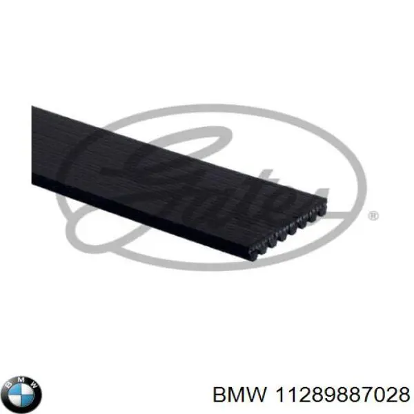 Клиновий ремінь BMW 11289887028 ціна, від 30.29 USD