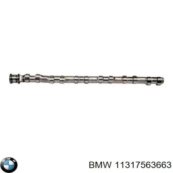 11317563663 BMW 