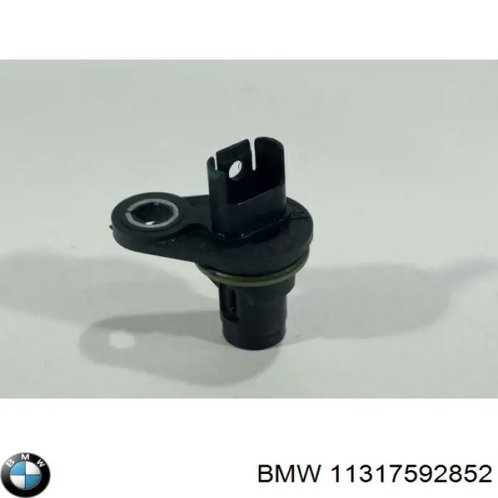  11317592852 BMW