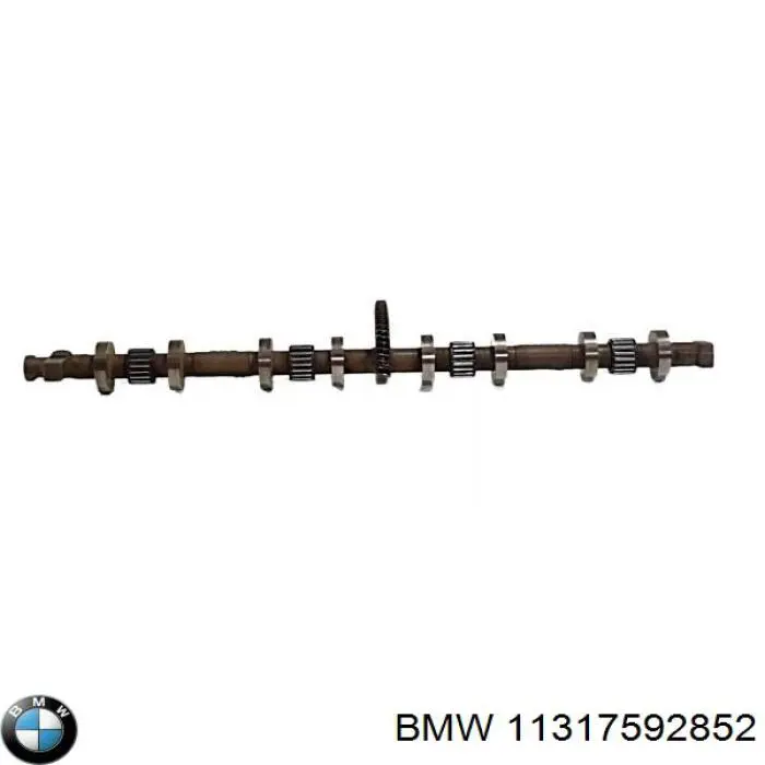 11317592852 BMW 