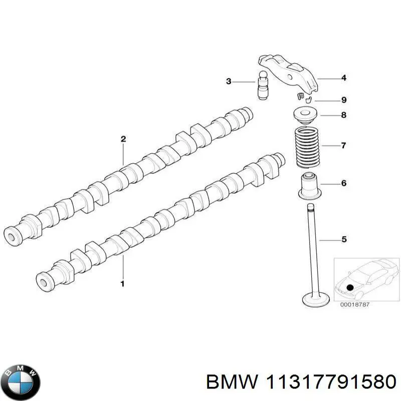 Розподільний вал двигуна випускний 11317791580 BMW