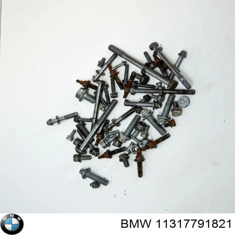 11317791821 BMW Ланцюг ГРМ, комплект