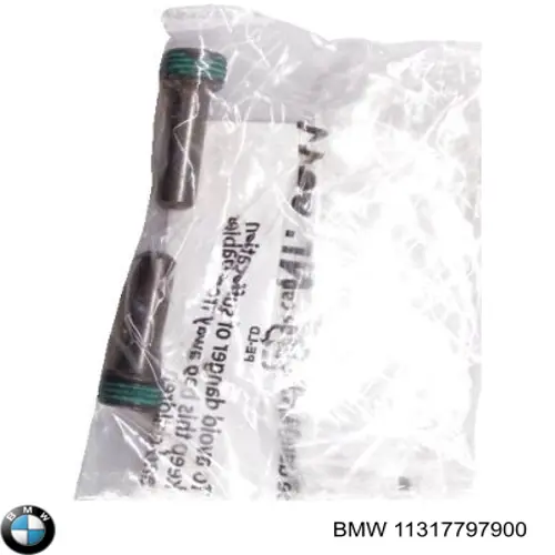 Купити 11317797900 BMW Болт ролику натягувача ременя ГРМ