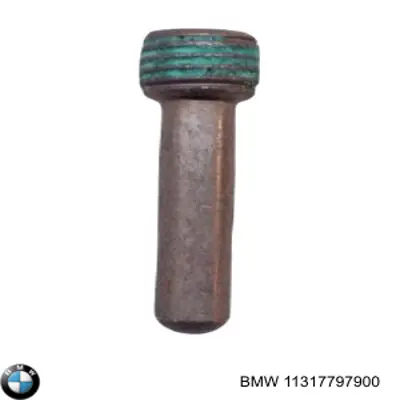 Болт ролику натягувача ременя ГРМ BMW 11317797900 ціна, від 13.37 USD