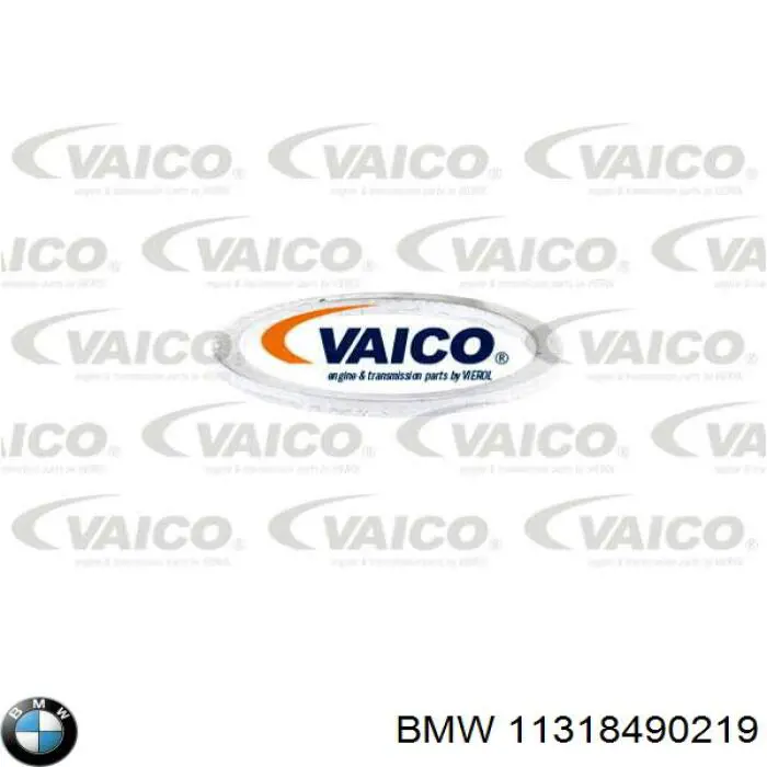 Купити 11318490219 BMW Натягувач ланцюга ГРМ