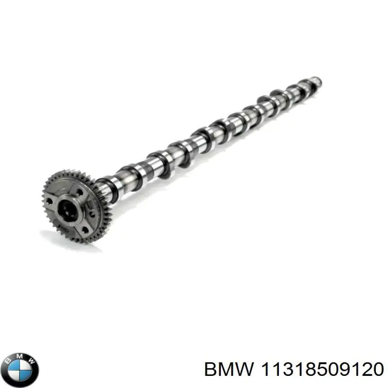 Вал розподільчий BMW 11318509121