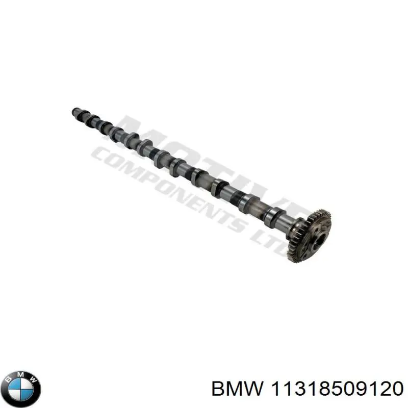 Купити 11318509121 BMW Розподільчий вал двигуна