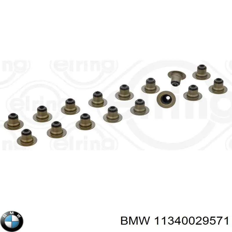 Купити 11340029571 BMW Сальник клапана (маслознімний), впуск/випуск, комплект на мотор