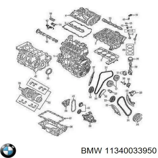 11340033950 BMW сальник клапана (маслознімний, впуск/випуск, комплект на мотор)