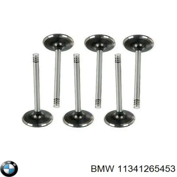 Клапан впускний BMW 11341267721 ціна, від 6.59 USD