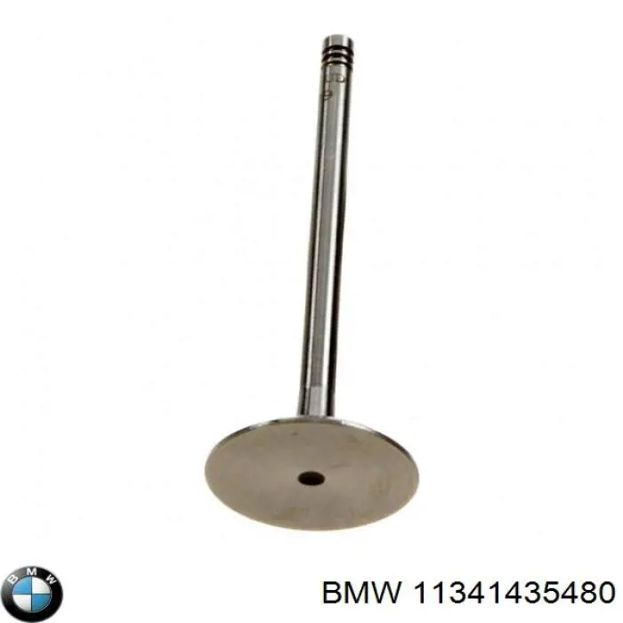 Клапан впускний 11341435480 BMW