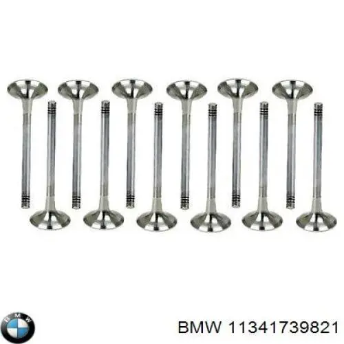 Купити 11341739821 BMW Клапан випускний