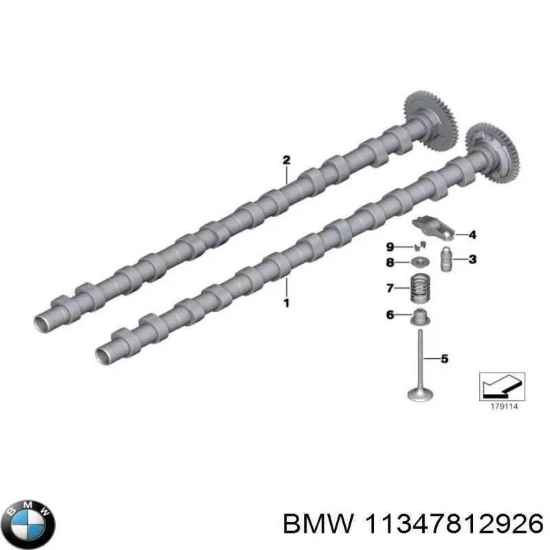 Купити 11347812926 BMW Сальник клапана (маслознімний), впуск/випуск, комплект на мотор