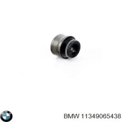 11349065438 BMW сальник клапана (маслознімний, впуск/випуск, комплект на мотор)