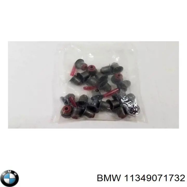 11349071732 BMW сальник клапана (маслознімний, впуск/випуск, комплект на мотор)