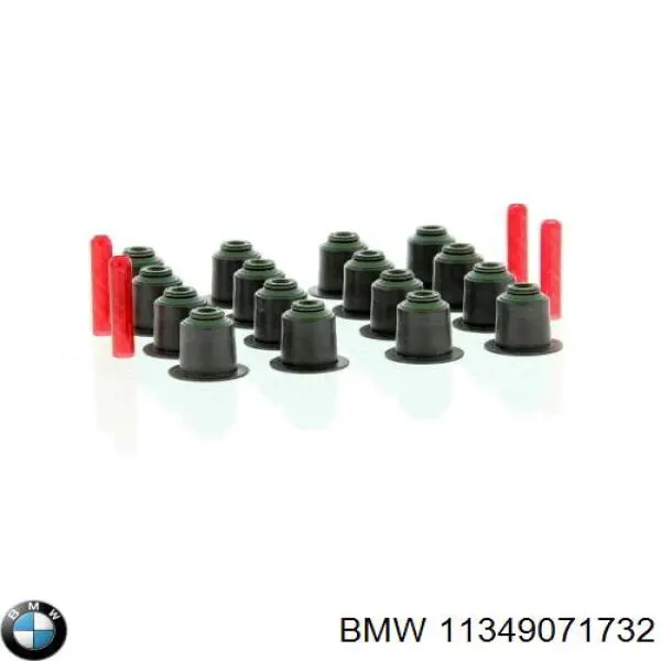 Купити 11349071732 BMW Сальник клапана (маслознімний), впуск/випуск, комплект на мотор
