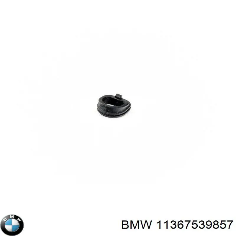 Купити 11367539857 BMW 