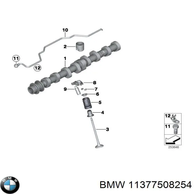  11377508254 BMW