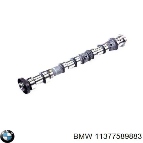 Ексцентриковий вал, вальветронік (valvetronic) на BMW X6 (E71)