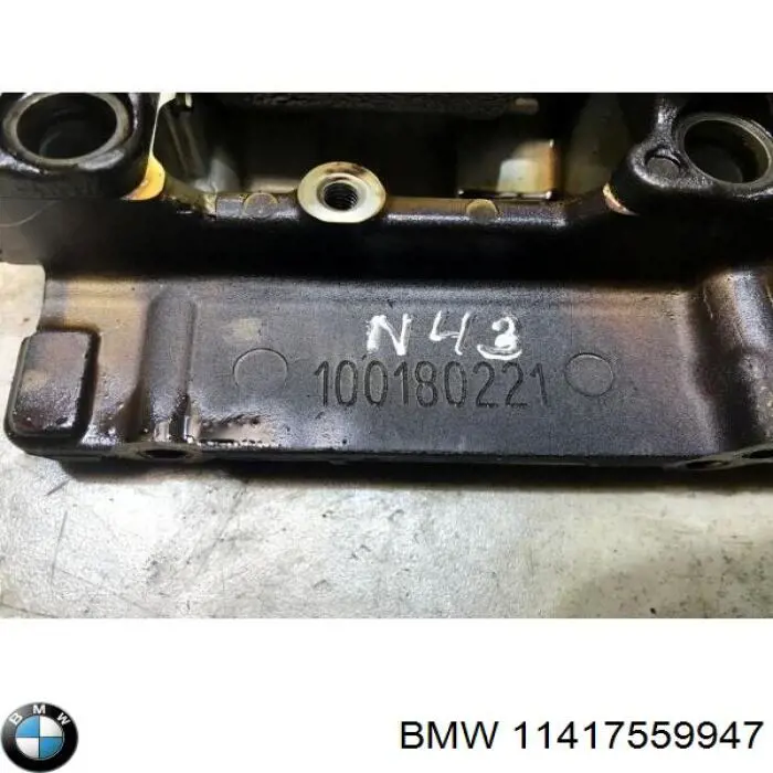 Купити 11415A19409 BMW Насос маслозакачуючий
