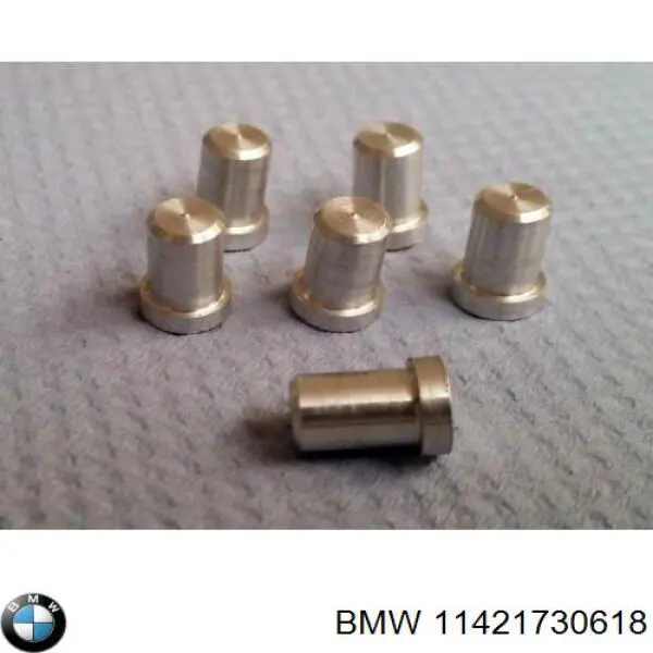 11421730618 BMW Форсунка масляна