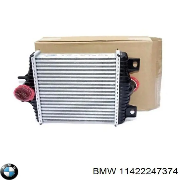 Прокладка радіатора масляного BMW 11422247374