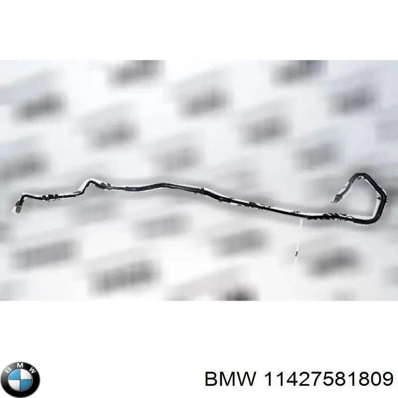 Купити 11427581809 BMW 