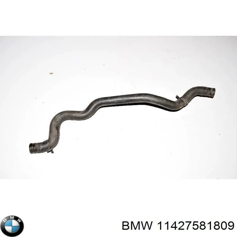 11427581809 BMW 