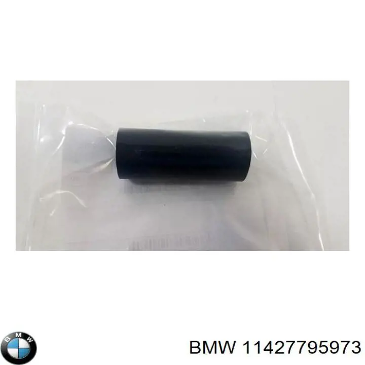 Купити 11427795973 BMW 