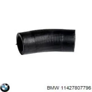 7807796 BMW Трубка/шланг відводу масла від турбіни