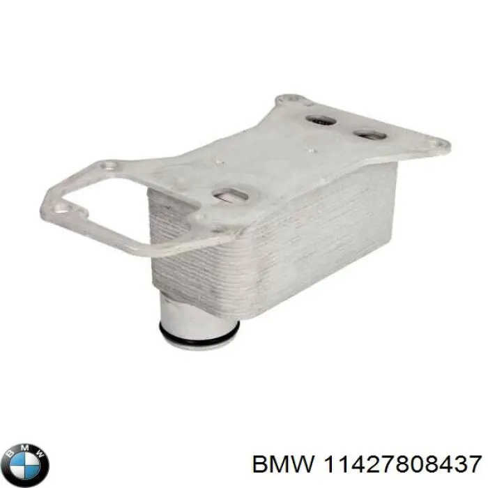 Купити 11427808437 BMW Прокладка радіатора масляного