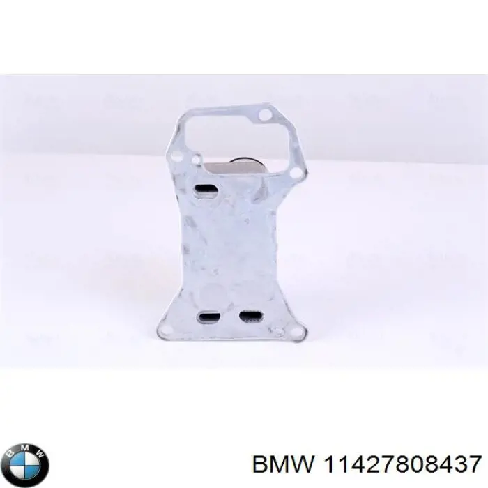 Прокладка радіатора масляного 11427808437 BMW