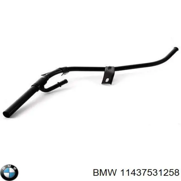 11437531258 BMW 