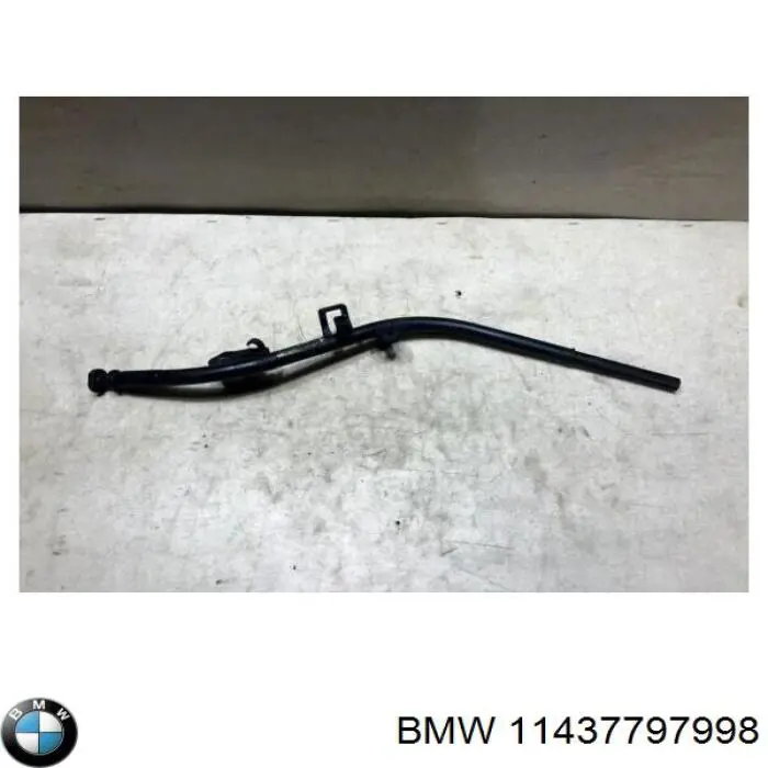  11437797998 BMW