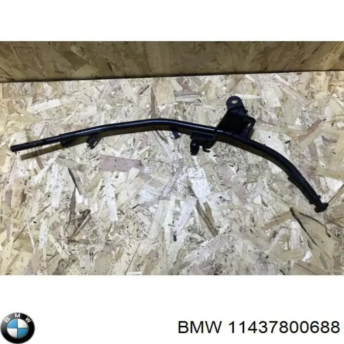 11437800688 BMW 