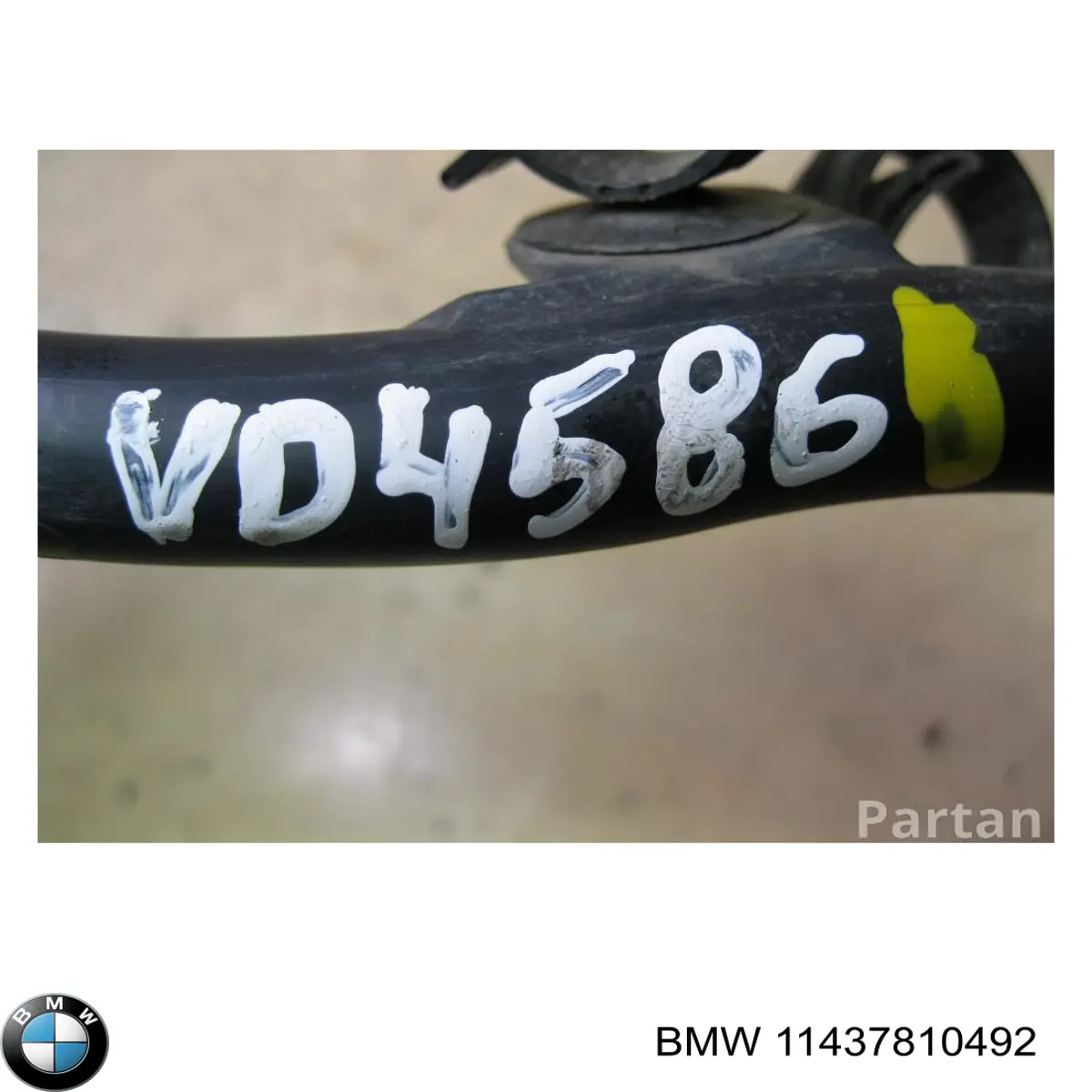 Направляюча щупа-індикатора рівня масла в двигуні BMW 11437810492