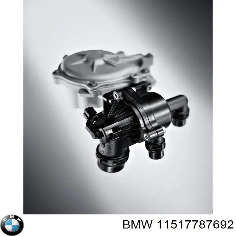 11517787692 BMW Прокладка корпусу термостата