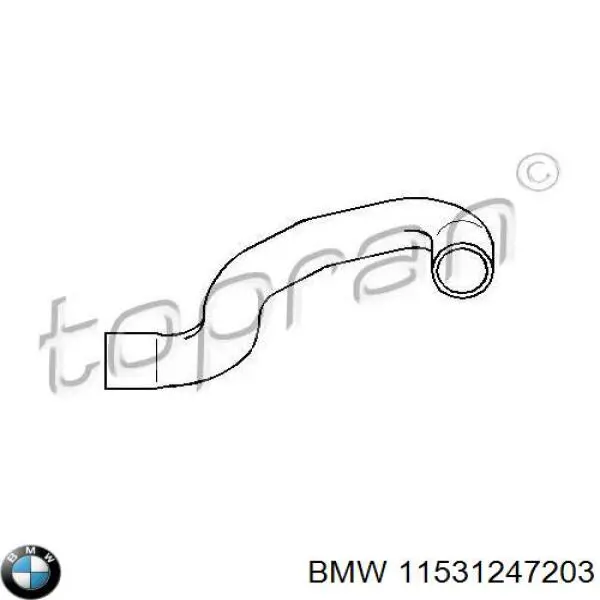 11531247203 BMW Шланг/патрубок радіатора охолодження, нижній