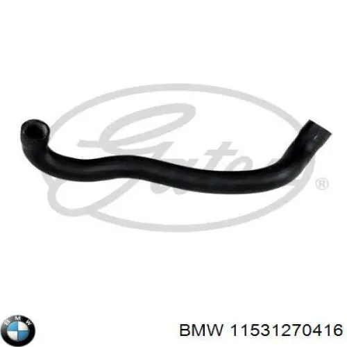 Купити 11531270416 BMW Шланг/патрубок радіатора охолодження, нижній