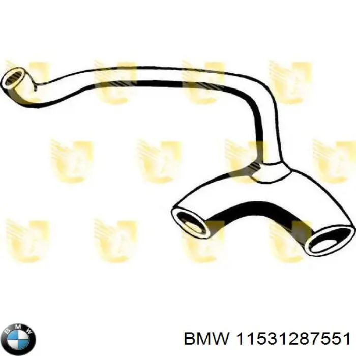  11531287551 BMW